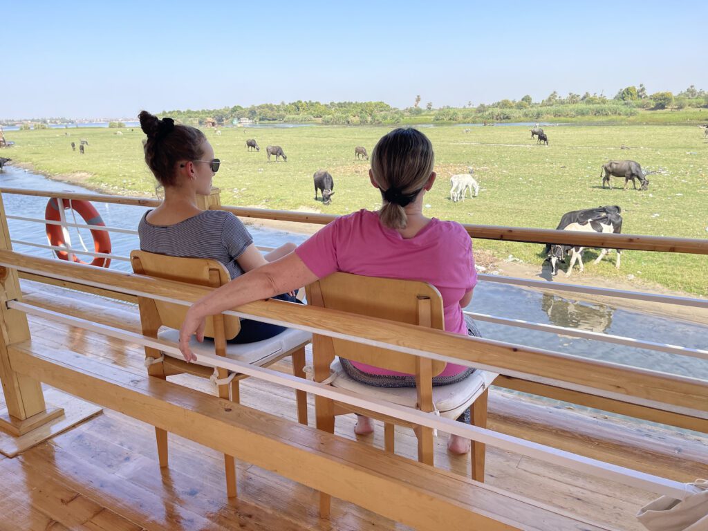 tourists on board of the dahabiya, enjoying the vast green fields with cows roaming