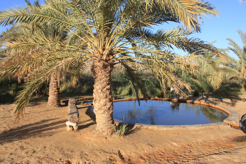 Siwa Oasis and desert around