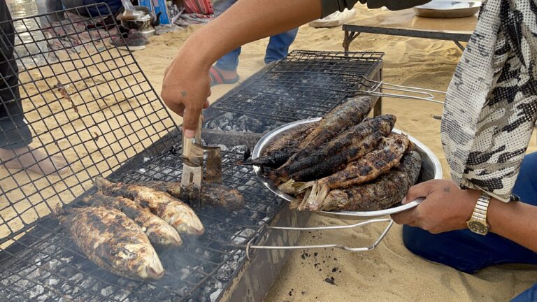 Fayoum food experience