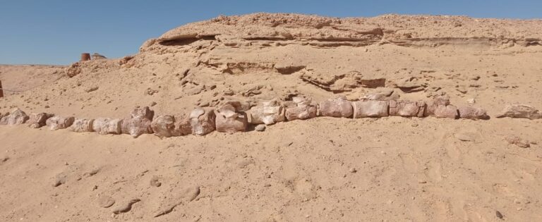 Exploring Fayoum Oasis ancient sites